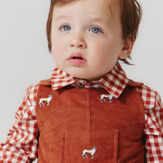 Pink Chicken Baby Boys Corduroy Noah Jumper - Dog Embroidery