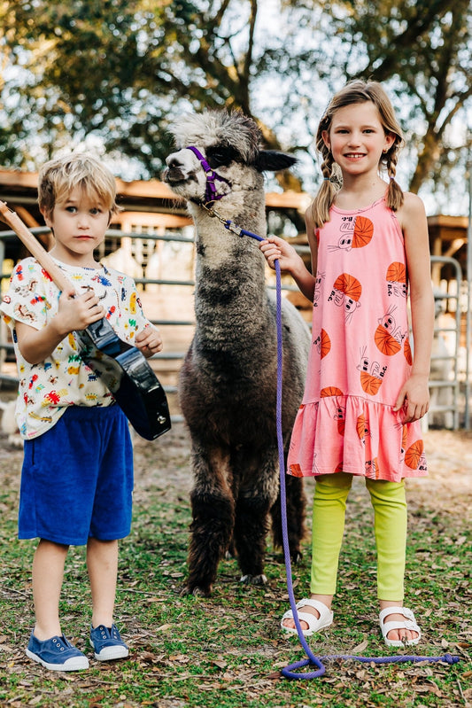 Bobo Choses BC Terry Bermuda Shorts