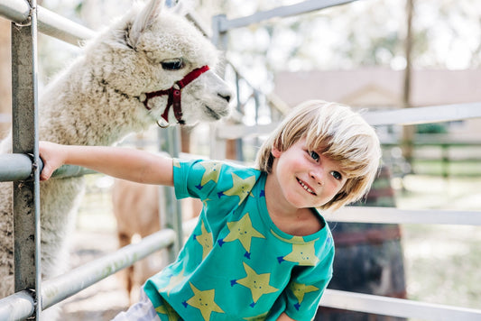 Tiny Cottons Dancing Stars T-Shirt