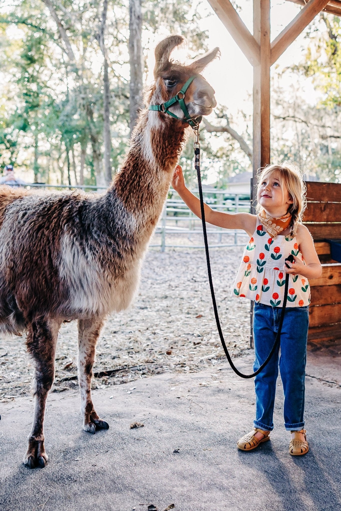 Mini Rodini Mini Rodini | GOTS Straight Denim Jeans