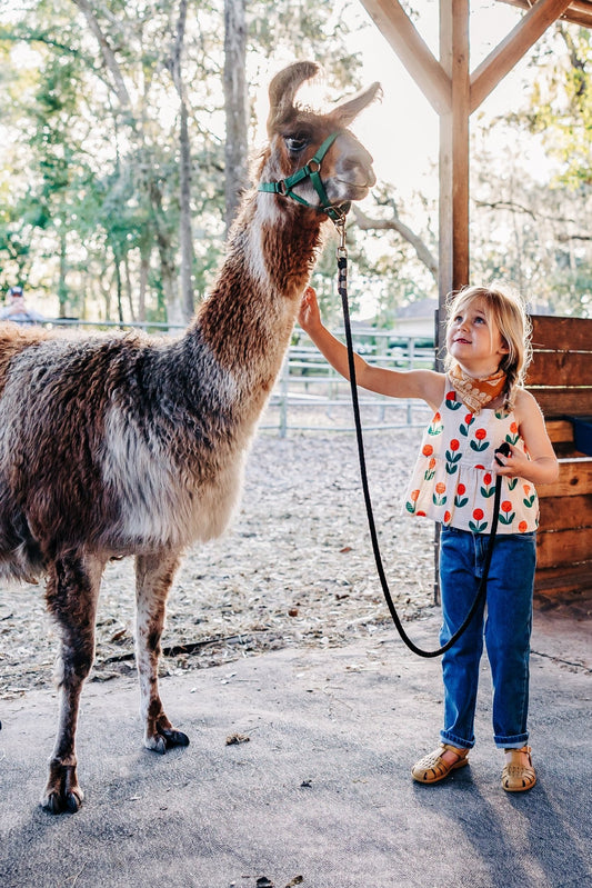 Mini Rodini Mini Rodini | GOTS Straight Denim Jeans