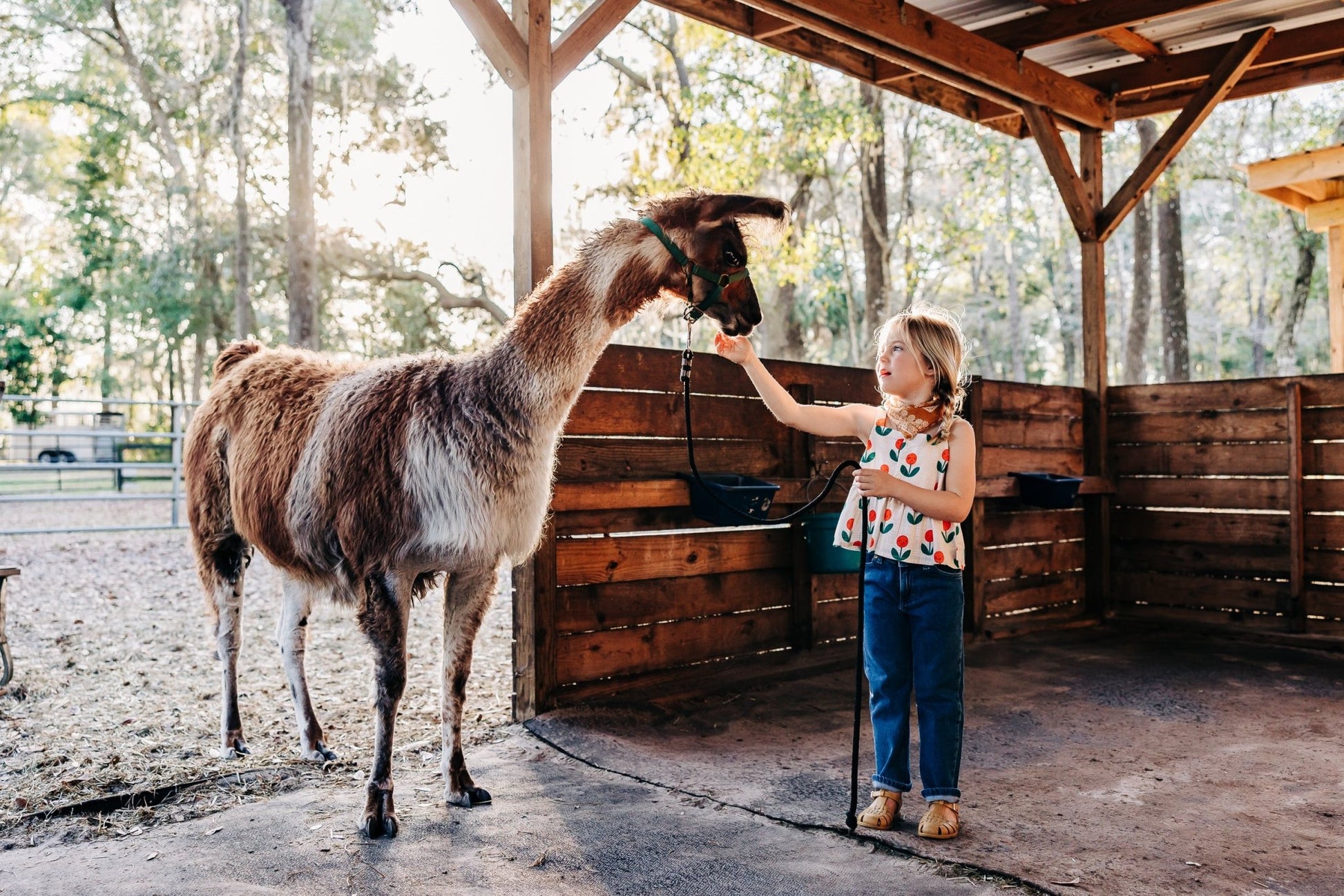 Mini Rodini Mini Rodini | GOTS Straight Denim Jeans