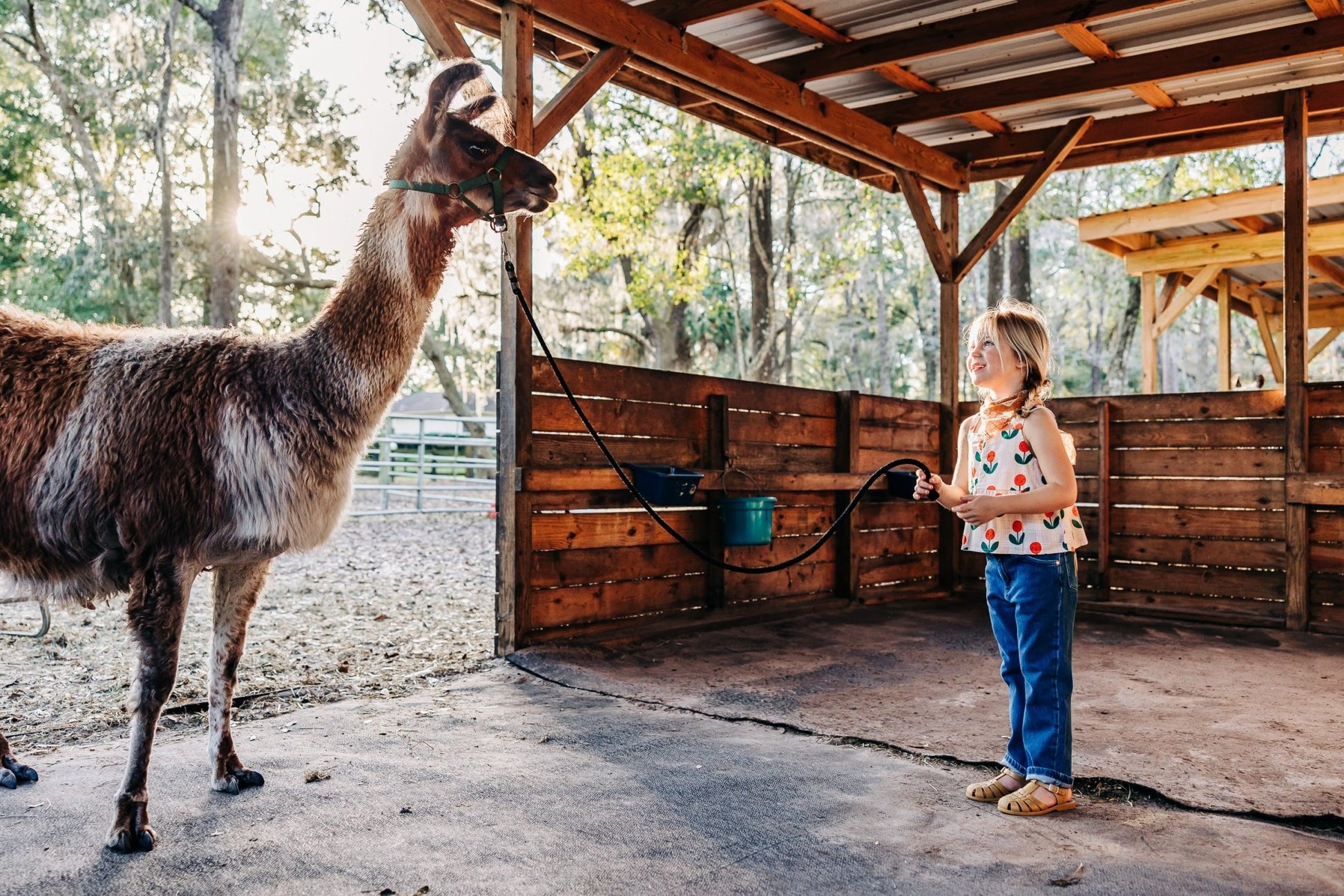 Mini Rodini Mini Rodini | GOTS Straight Denim Jeans