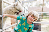 Little Llamas Boutique