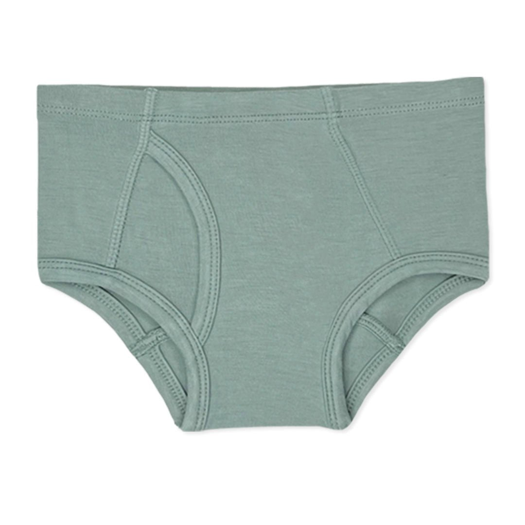 Boy's Bamboo Underwear 7 - Pack - Bellabu Bear