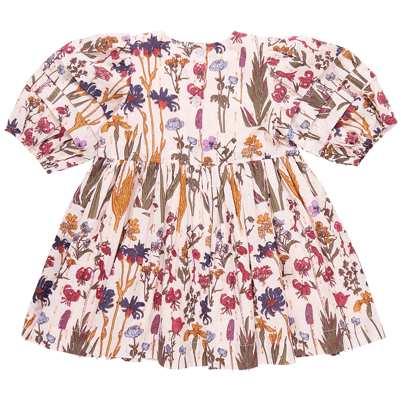 Girls Brooke Dress - Autumn Flowers - Pink Chicken