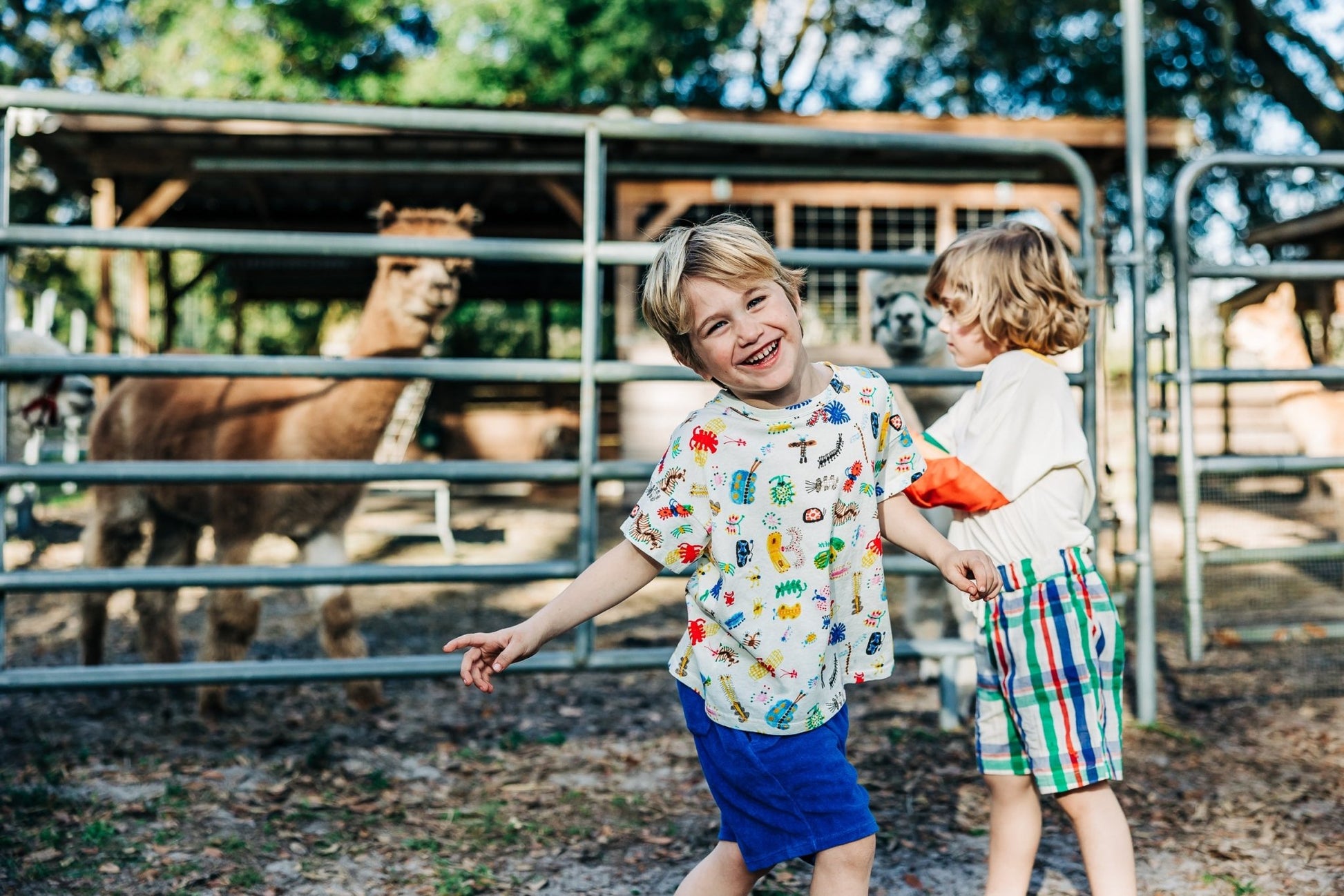 Madras Checks Woven Bermuda Shorts - Bobo Choses