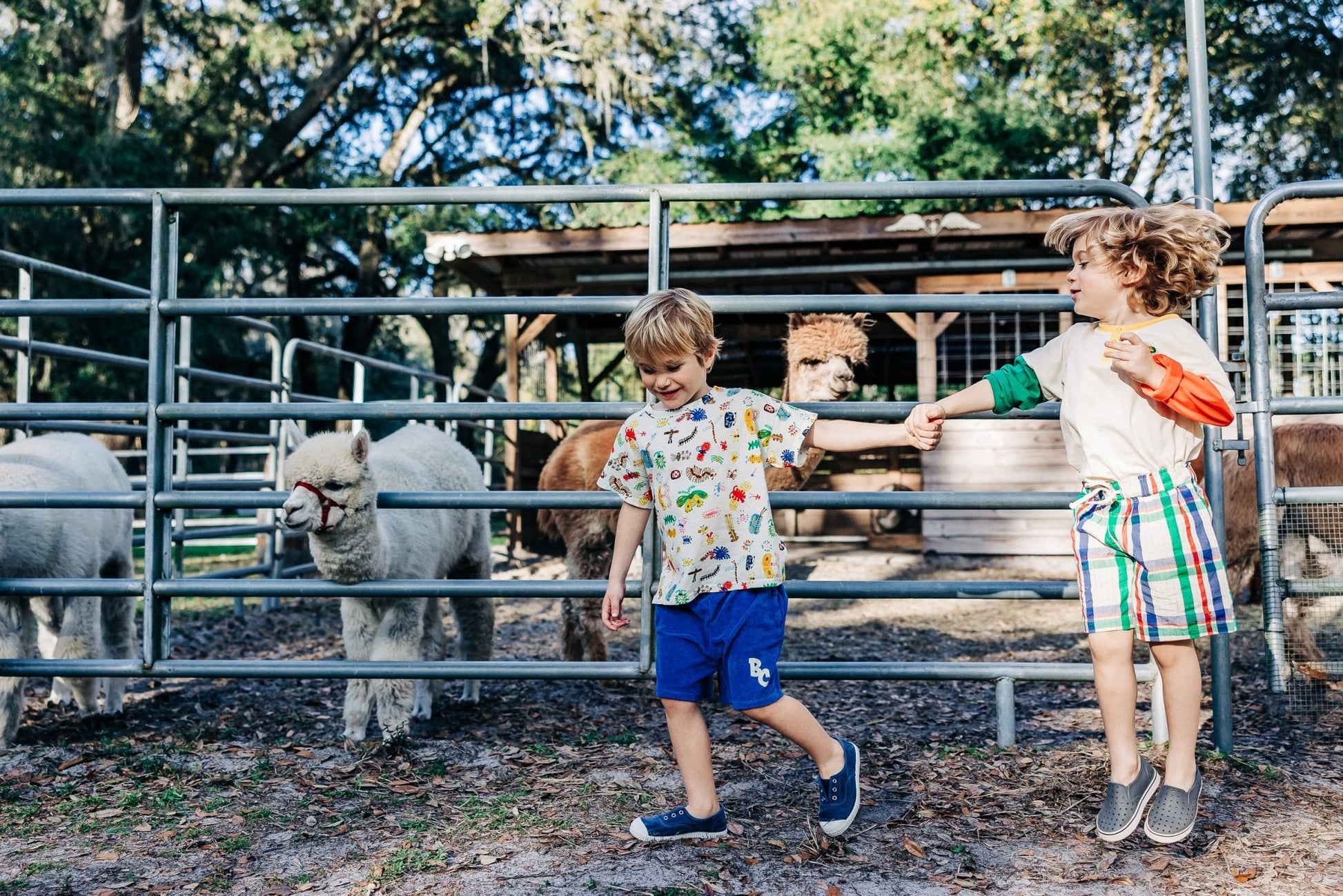 Madras Checks Woven Bermuda Shorts - Bobo Choses