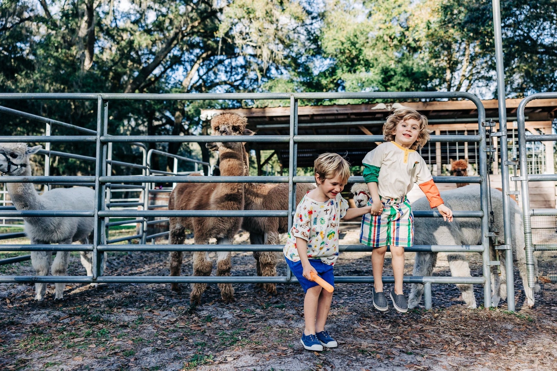 Madras Checks Woven Bermuda Shorts - Bobo Choses